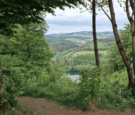 Gemündener Maar