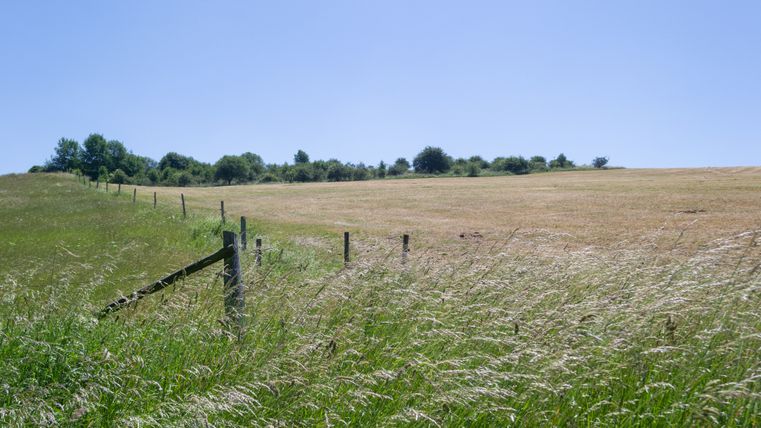 Des prairies vertes avec une clôture en bois sous un ciel bleu dans l'Eifel.