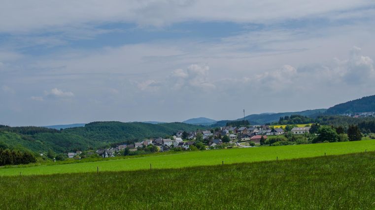 Grüne Wiesen im Vordergrund mit einem kleinen Dorf und bewaldeten Hügeln unter bewölktem Himmel im Hintergrund