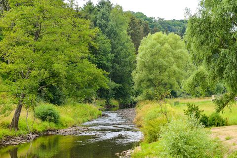 Une petite rivière coule à travers un paysage vert et boisé.