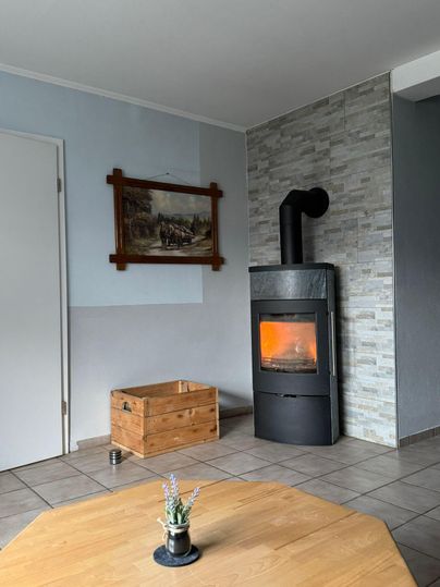 Een gezellige kamer met een houten open haard en een moderne kachel. Aan de muur hangt een groot schilderij en op de tafel staat een kleine plant.