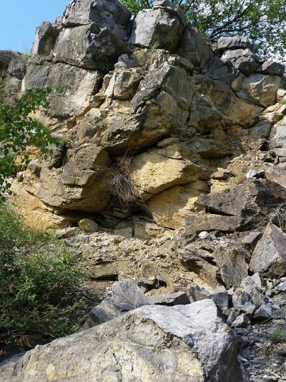 Une falaise abrupte avec des formations rocheuses irrégulières. Entourée de zones herbeuses et de quelques buissons.