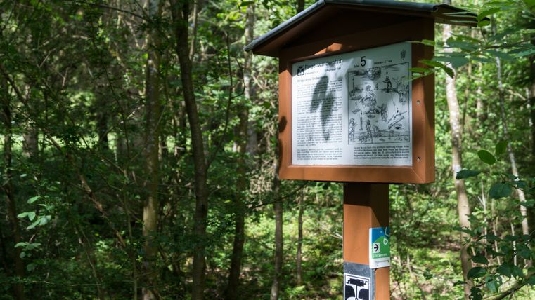 Panneau d'information dans la forêt sur le sentier de randonnée Eifelspur Pingen.