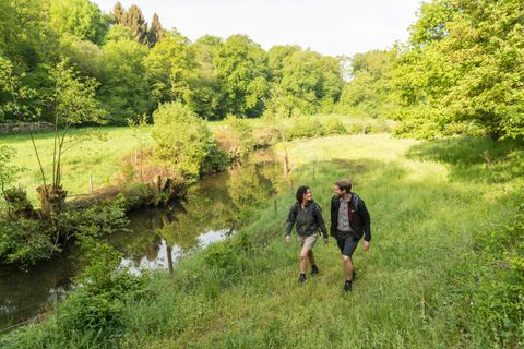 Zwei Wanderer gehen bei Sonnenschein auf einem Wiesenpfad neben einem kleinen Bach durch eine grüne, bewaldete Landschaft.