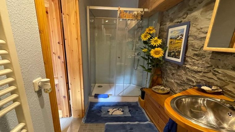 A modern bathroom with a shower cabin and beautiful wood paneling. The room is bright and decorated with a floral arrangement.