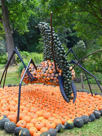 Eine große Skulptur einer Ameise, die aus Kürbissen und Melonen besteht. Die bunten Fruchtstücke sind auf einem Bett aus orangefarbenen Kürbissen angeordnet.