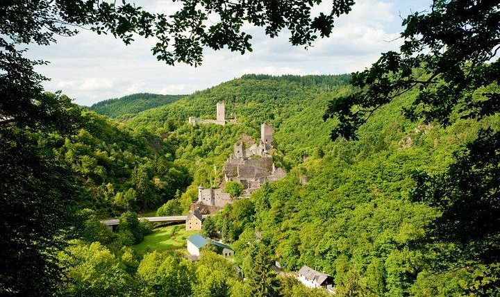 Een schilderachtige burchtruïne omringd door dichte, groene bossen. Op de achtergrond zijn verdere torens en de brede vallei zichtbaar.