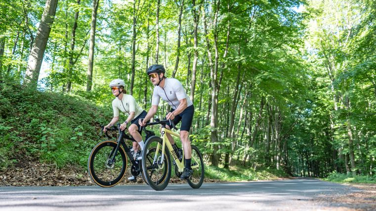 Two racing cyclists on a road in the forest.