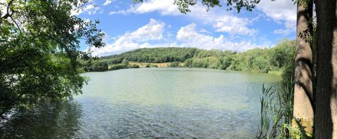 Ein ruhiger See umgeben von Bäumen und Hügeln unter einem blauen Himmel mit Wolken.