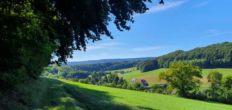 Panoramablick über das Enztal mit grünen Wiesen und Wäldern unter blauem Himmel.