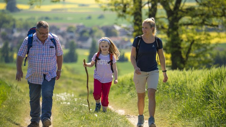 Three people hiking on a rural path in sunny weather.