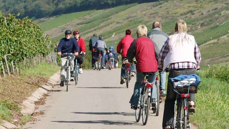 Een groep fietsers rijdt op een smal pad door een schilderachtig landschap. Op de achtergrond zijn wijngaarden en zachte heuvels te zien.