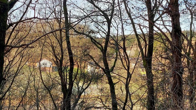 A view through bare trees at a small house in the distance. The landscape is calm and untouched by man.