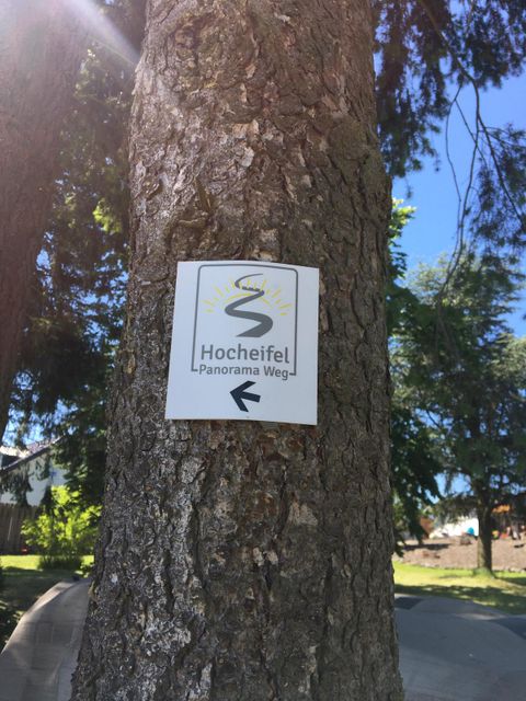 Un panneau portant l'inscription 'Hocheifel Panorama Weg' est fixé à un arbre, avec une flèche vers la gauche. En arrière-plan, on peut voir des arbres et un ciel bleu.