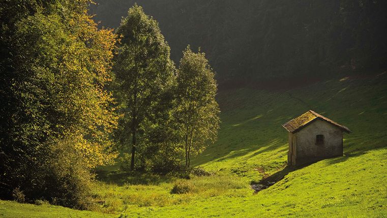 Petite cabane sur une prairie verte dans le Kammerwald, entourée d'arbres au soleil.