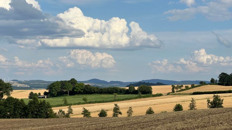 Eine malerische Landschaft mit sanften Hügeln und weitläufigen Feldern. Weiße Wolken ziehen über einen blauen Himmel.
