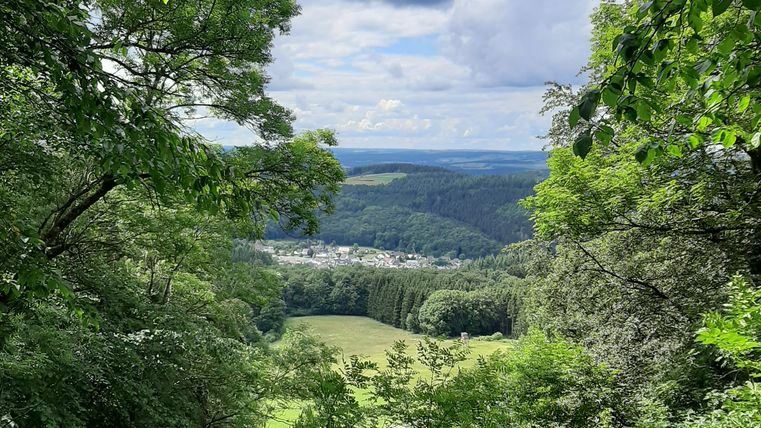 View through trees of a green landscape with a village in the background under a cloudy sky.