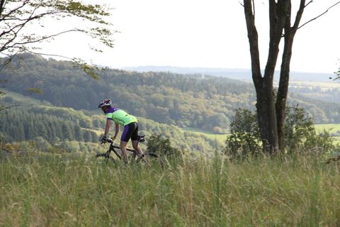 Een fietser rijdt door een groene landschap met zachte heuvels. Op de achtergrond zijn bomen en een helder uitzicht te zien.