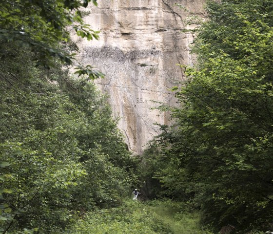 Mur de tuf, © Kappest/Vulkanregion Laacher See