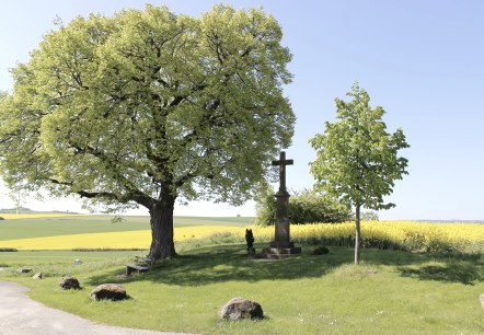 Uitzicht op de Bördeblick in Vlatten, © Rureifel-Tourismus e.V.