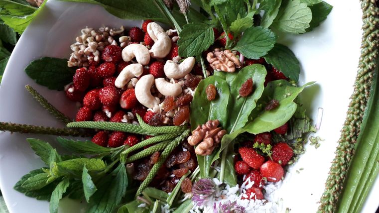 Ein bunter Teller mit frischen Kräutern, Beeren und Nüssen. Die Mischung zeigt eine Vielzahl von natürlichen Zutaten.