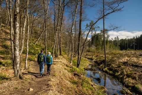 Zwei Personen wandern auf einem schmalen Pfad durch den Wald. Neben dem Weg fließt ein kleiner Bach und die Natur ist grün und einladend.
