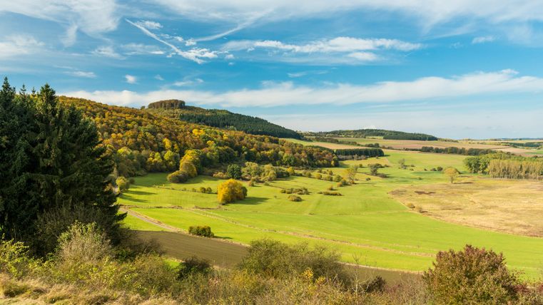 Paysage de prairies vertes, de collines boisées et de ciel bleu.