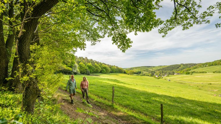 Deux personnes marchent sur un chemin bien entretenu à travers un paysage verdoyant. Des arbres et de douces collines forment un cadre idyllique.
