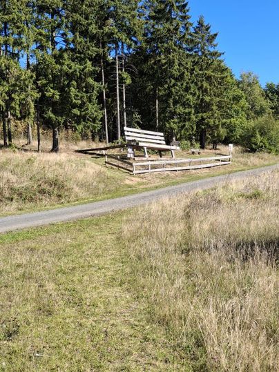 Un chemin traverse un pré verdoyant avec de l'herbe haute et des arbres en arrière-plan. Sur le côté droit, un banc en bois se trouve sous un ciel bleu.