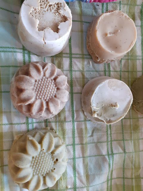 A woman is standing in the forest holding a plant in her hand. She is wearing a colorful top and has sunglasses on.