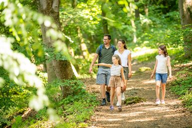 Eine Familie wandert durch Wald am Laacher See
