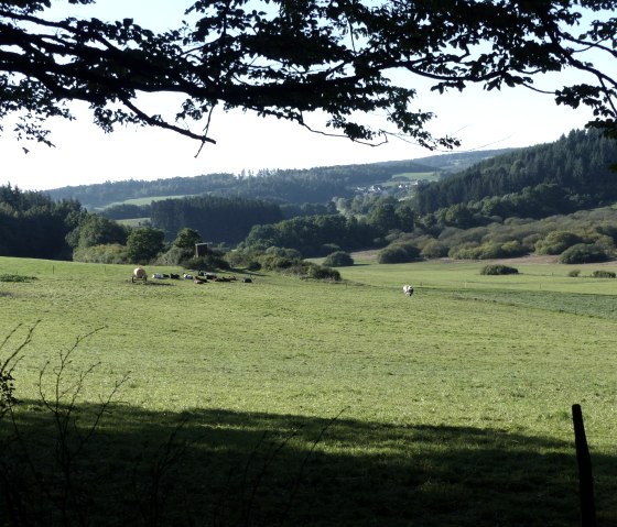 Aussicht Vulkaneifel, © Gesundland Vulkaneifel GmbH
