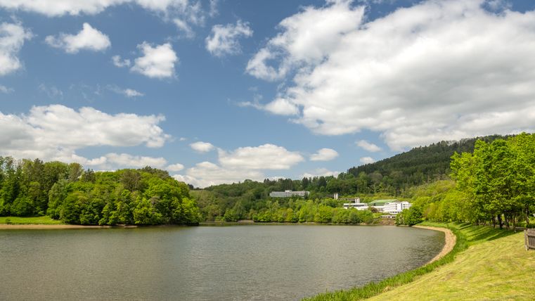 The reservoir in focus, surrounded by forests and buildings 