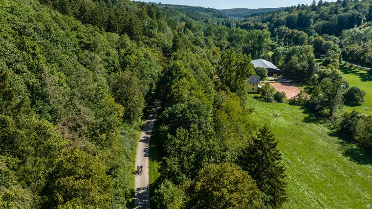 Aerial view of a forest with a road and two cyclists, next to a house and a meadow.