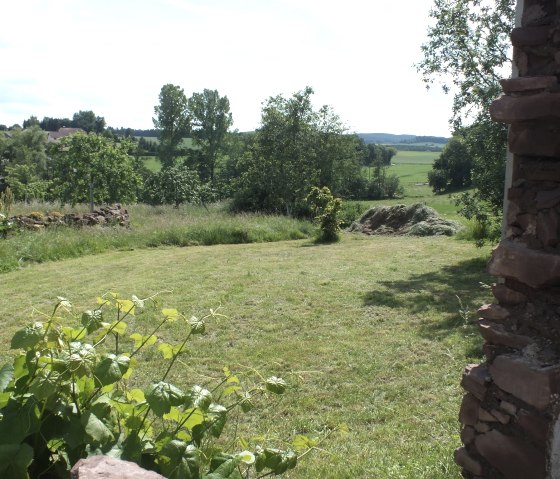 View from the garden