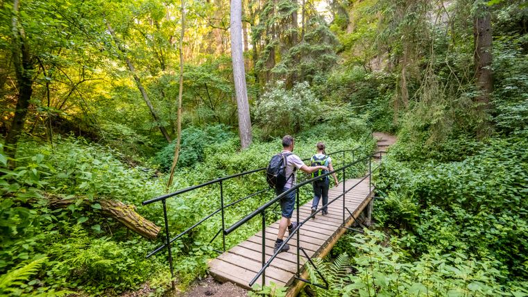 Twee wandelaars steken een houten brug over in een dicht, groen bos.