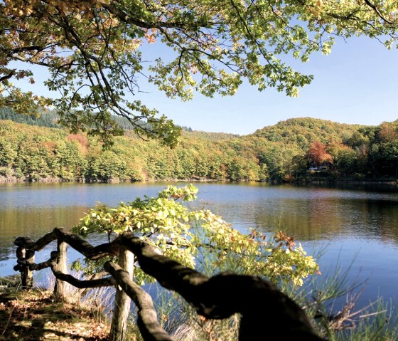 Lake Rursee in the Eifel National Park, © M. Usadel