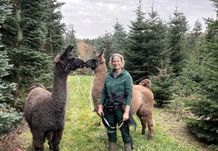 Bain de forêt avec des lamas et des alpagas, © Anne Knein