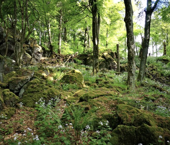 IMG_20230525_091957, © Gesundland Vulkaneifel GmbH