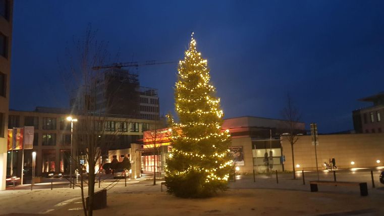 Un sapin de Noël joliment éclairé se dresse sur une place urbaine au crépuscule. En arrière-plan, on peut voir des bâtiments modernes et une ambiance paisible.