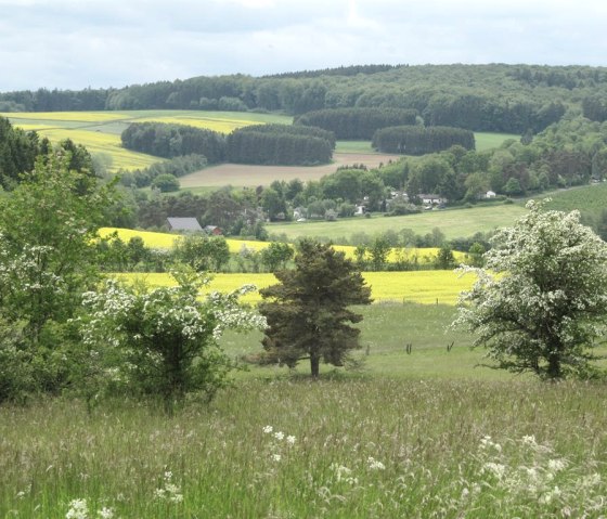 Lissendorf en été, © Gertrud Wieser