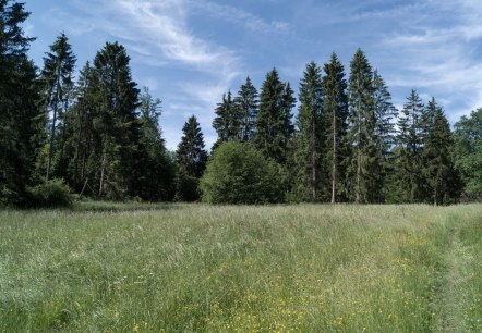 Eifelspur Pingenwanderweg - Through herb meadows, © Nordeifel Tourismus GmbH