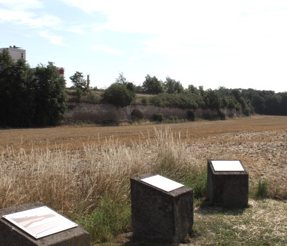 Krufter Bachtal info stones, © VG Pellenz/Alexandru Manea