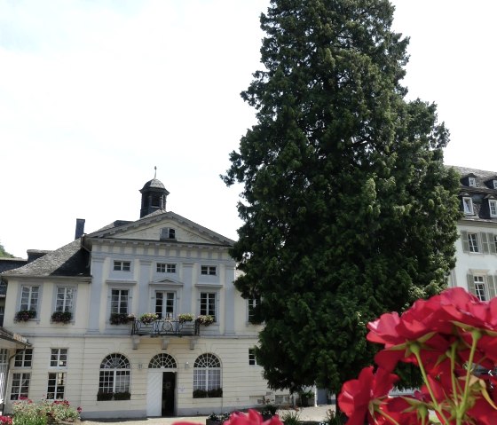 Kurfürstliches Schlößchen-Lebensbaum Alleegarten, © GesundLand Vulkaneifel GmbH
