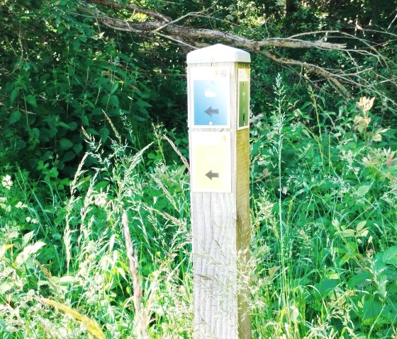 Ein Holzpfosten mit bunten Wanderwegschildern steht inmitten von dichtem Grün und Gras., © TI Bitburger Land