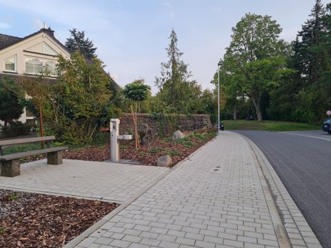 Een geplaveide voetgangerszone met bomen en een bank aan de zijkant. De straat loopt ernaast, omgeven door groene vegetatie.