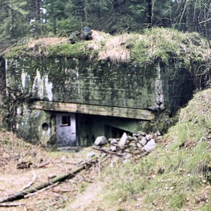 An abandoned bunker surrounded by trees and untouched nature. The structure is covered in moss and shows signs of decay.
