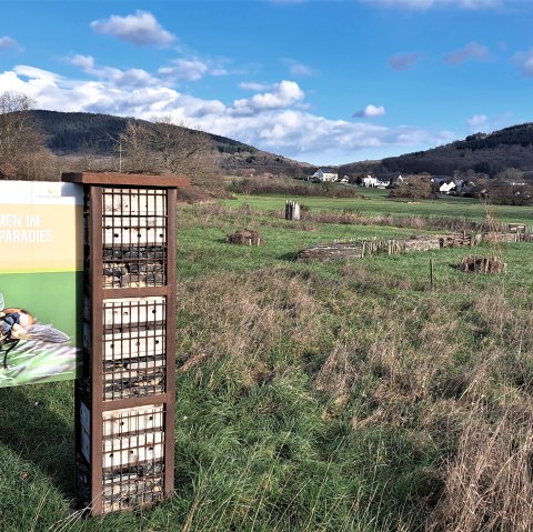 Les plaques, paradis des insectes, © Monika Marmann