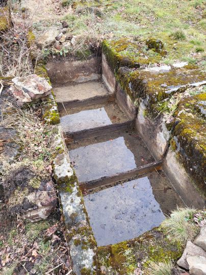 An old stone structure with three steps, some of which are filled with water. Moss covers the edges, surrounded by green grass and stones.