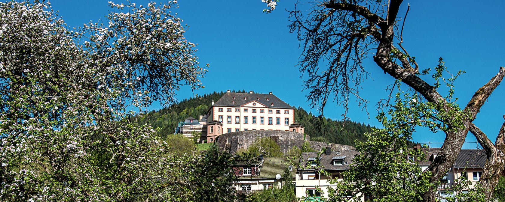 Malberg Castle sits enthroned on a hill, surrounded by blossoming trees and houses. The sky is clear and blue., © Tourist-Information Bitburger Land_Monika Mayer